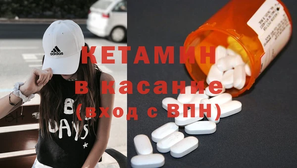 индика Горняк
