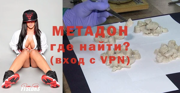 индика Горняк