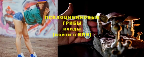 индика Горняк