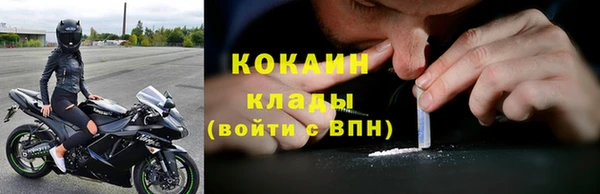 spice Гусь-Хрустальный