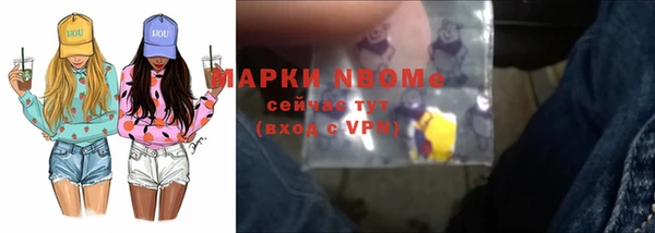 индика Горняк