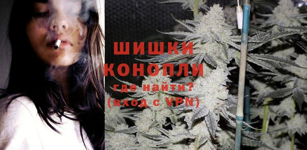 индика Горняк
