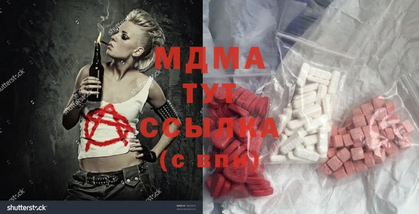 индика Горняк