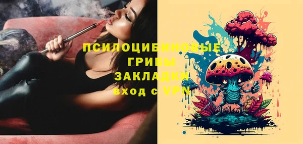 индика Горняк