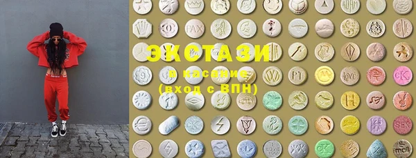 индика Горняк