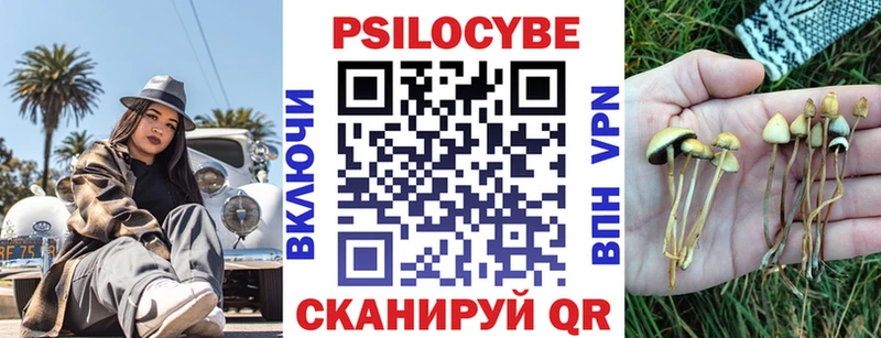 Псилоцибиновые грибы GOLDEN TEACHER  купить наркоту  blacksprut вход  Чердынь 